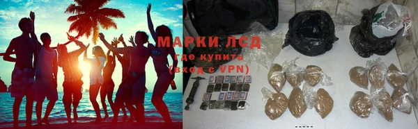 прущие грибы Богородицк