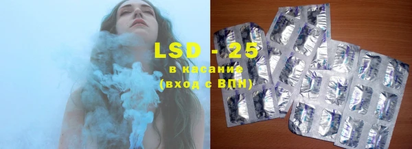 прущие грибы Богородицк