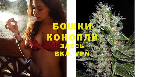 соль ск Богданович