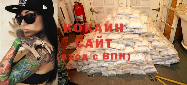 прущие грибы Богородицк