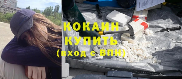 прущие грибы Богородицк