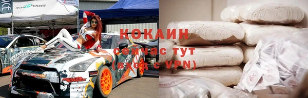прущие грибы Богородицк