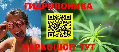трава Абакан