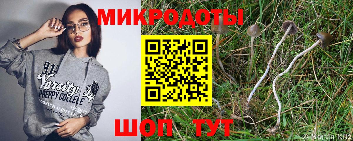 Псилоцибиновые грибы мицелий  Галлюциногенные грибы Magic Shrooms  Среднеуральск  Вход с VPN 
