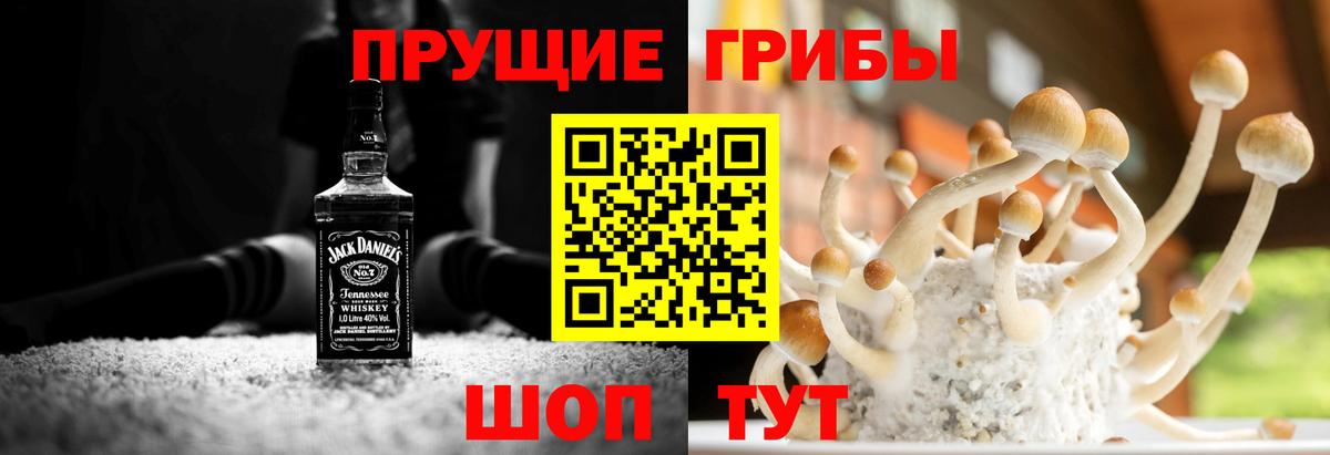 Галлюциногенные грибы Psilocybe Среднеуральск